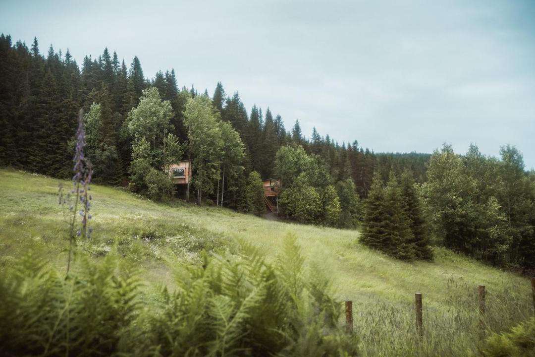 Photo of Others in Tangen