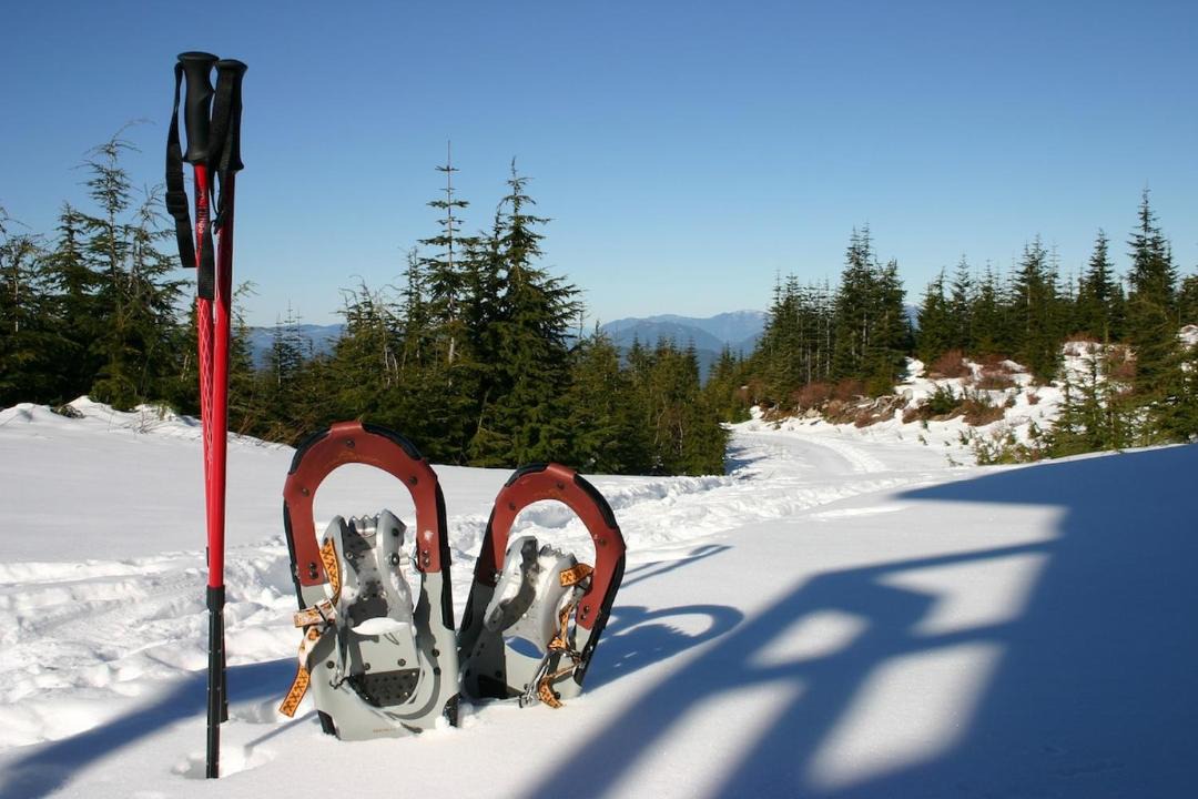Photo of Outdoor in Langsele