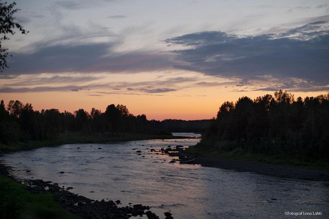 Photo of Others in Naamijoki