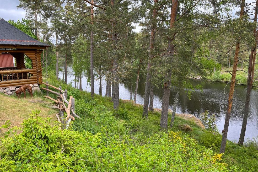 Photo of Others in Gullringen