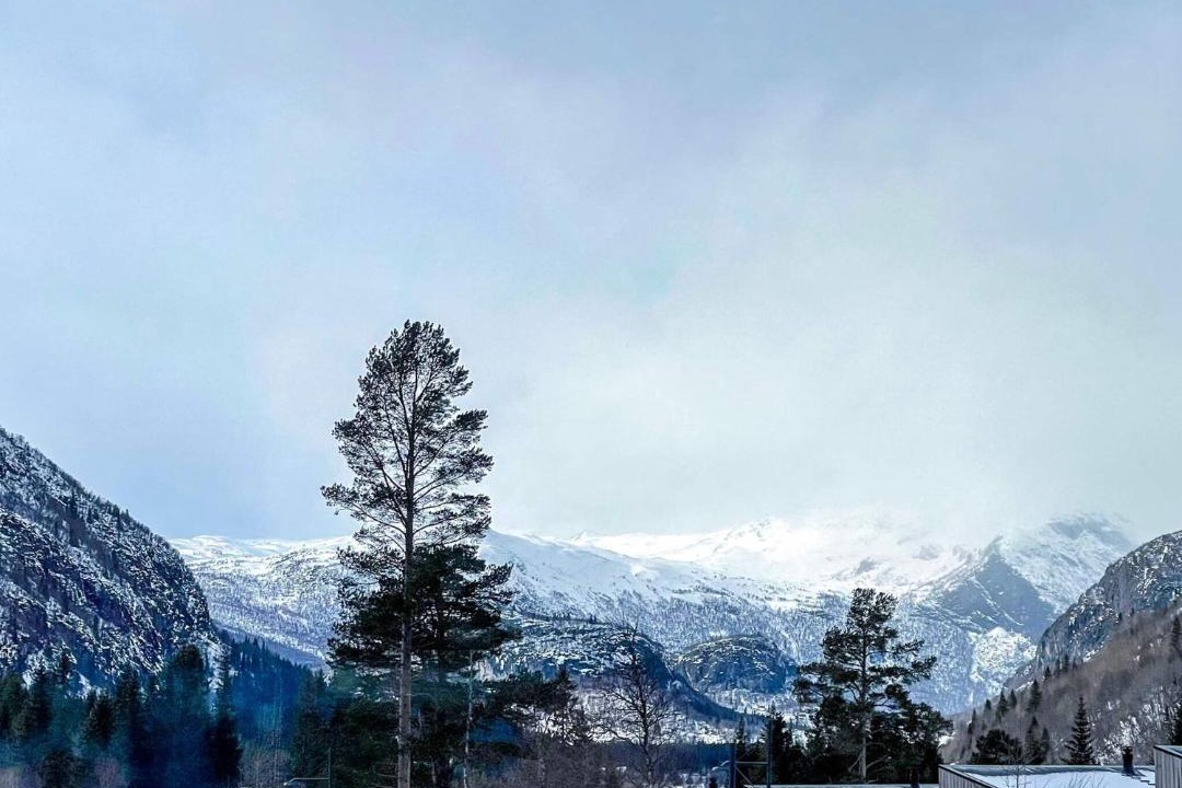 Photo of Others in Hemsedal