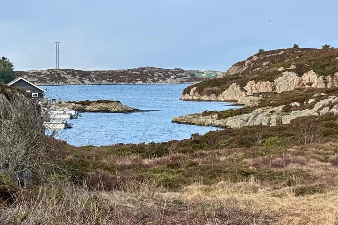 Photo of Others in Tjeldstø