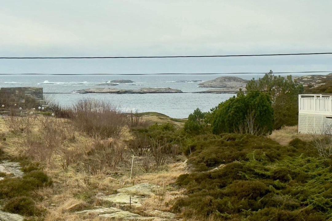Photo of Others in Tjeldstø