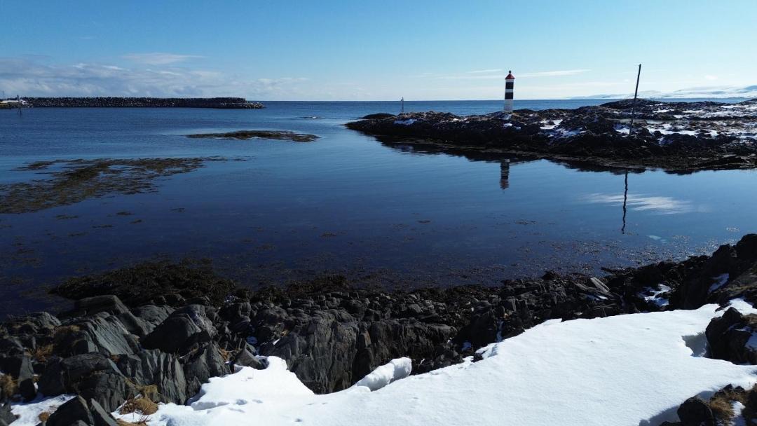 Photo of Others in Gamvik