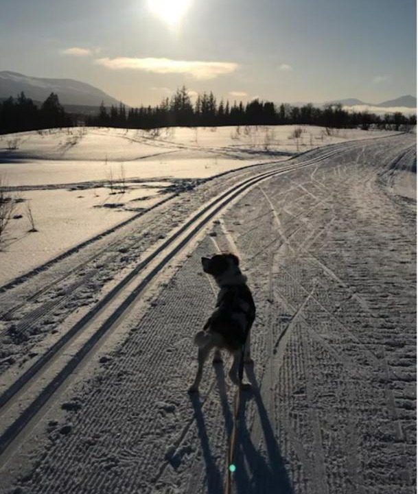 Photo of Others in Tromso