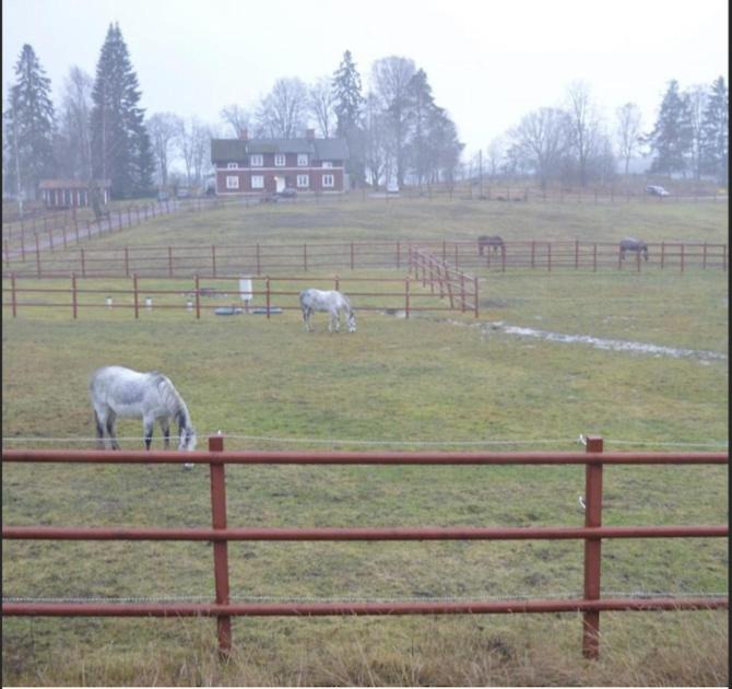 Photo of Others in Sparreholm