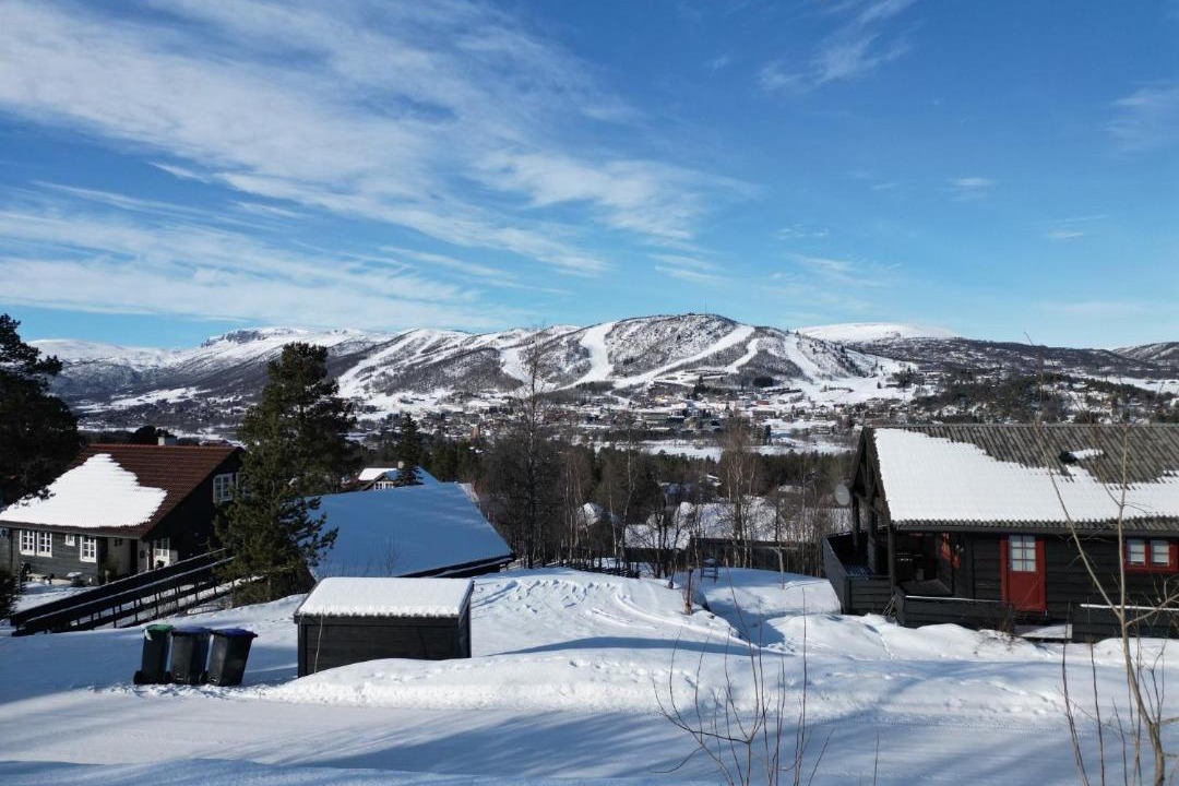 Photo of Others in Geilo