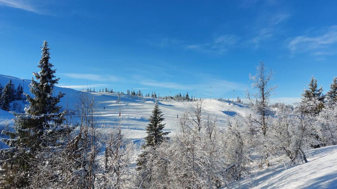 Photo of Others in Nord-Aurdal