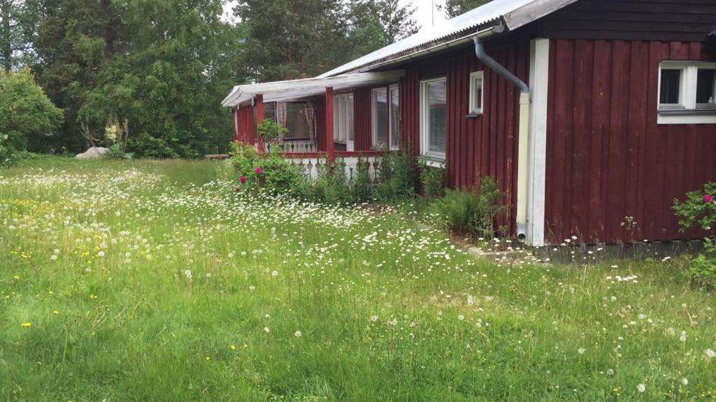 Photo of Others in Ytterhogdal