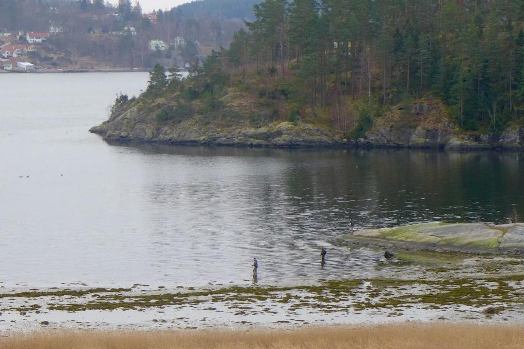 Photo of Outdoor in Ljungskile