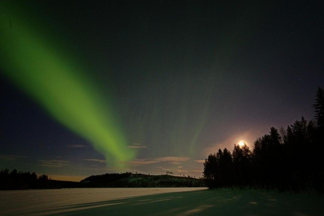 Photo of Others in Akerlund