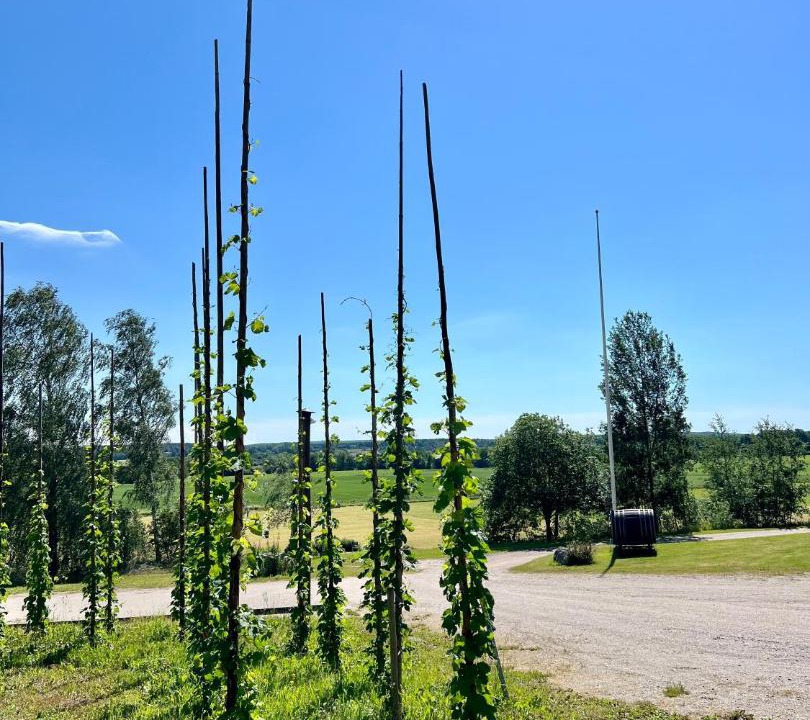Photo of Outdoor in Nasum