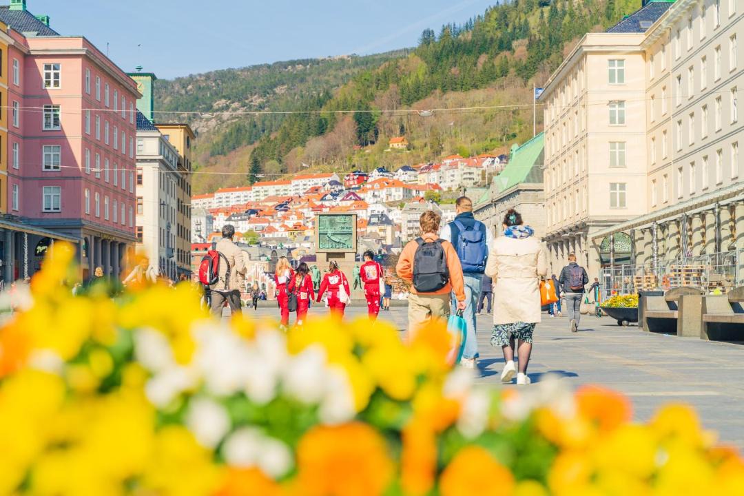 Photo of Others in Bergen City Centre