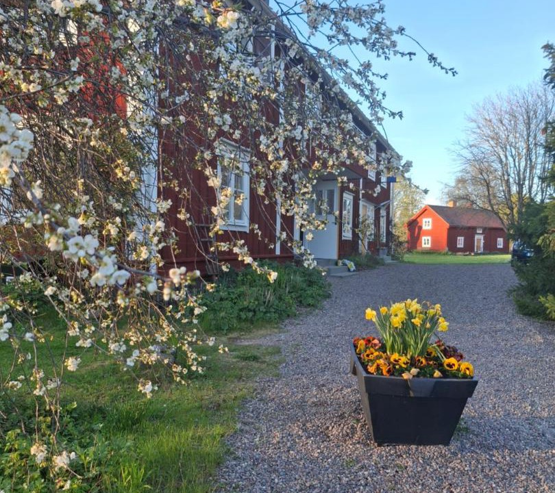 Photo of Others in Vasastaden-Eldslosa