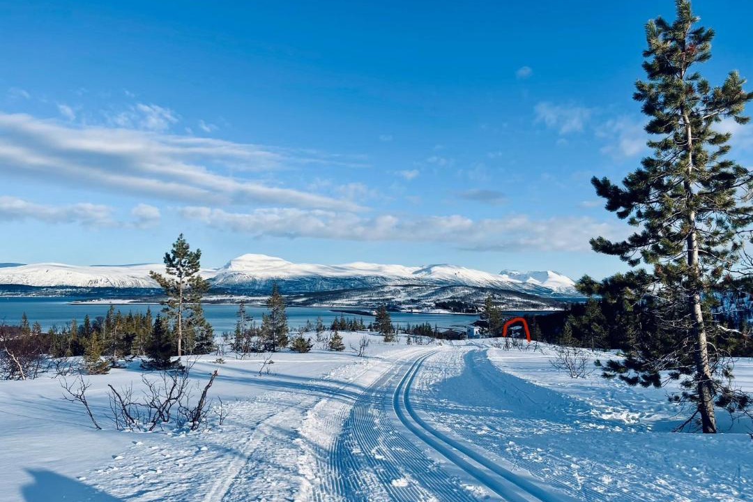 Photo of Others in Tromso