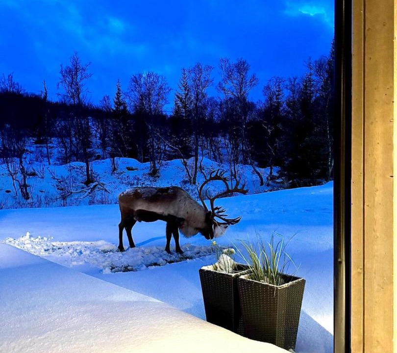 Photo of Others in Tromso