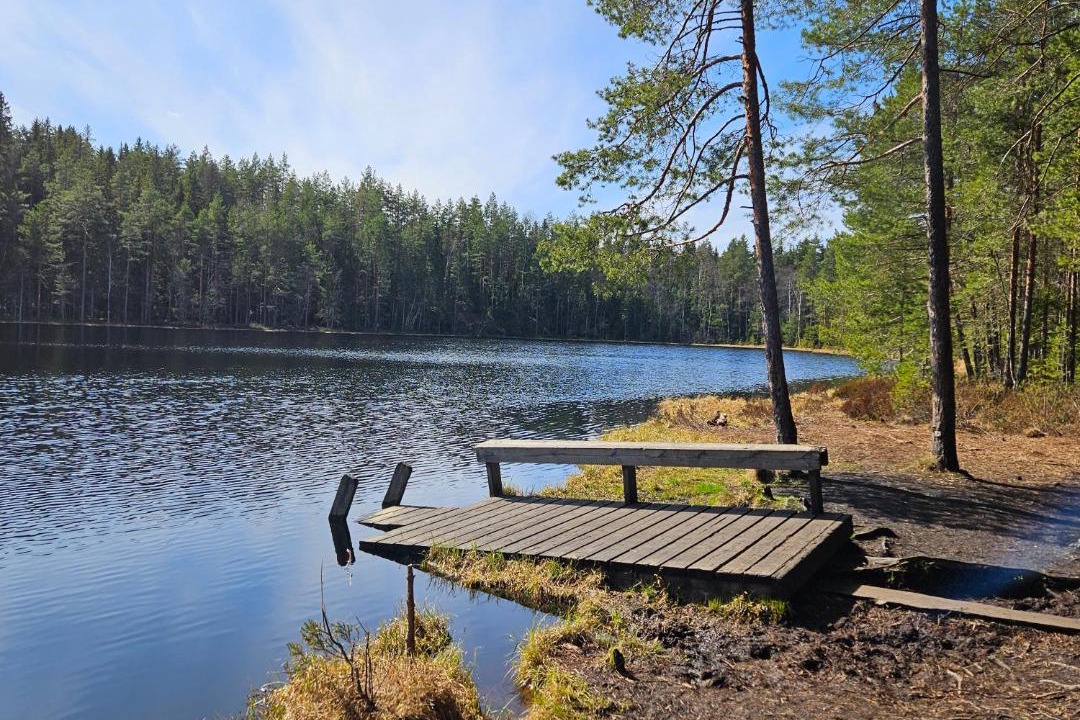 Photo of Others in Tampere
