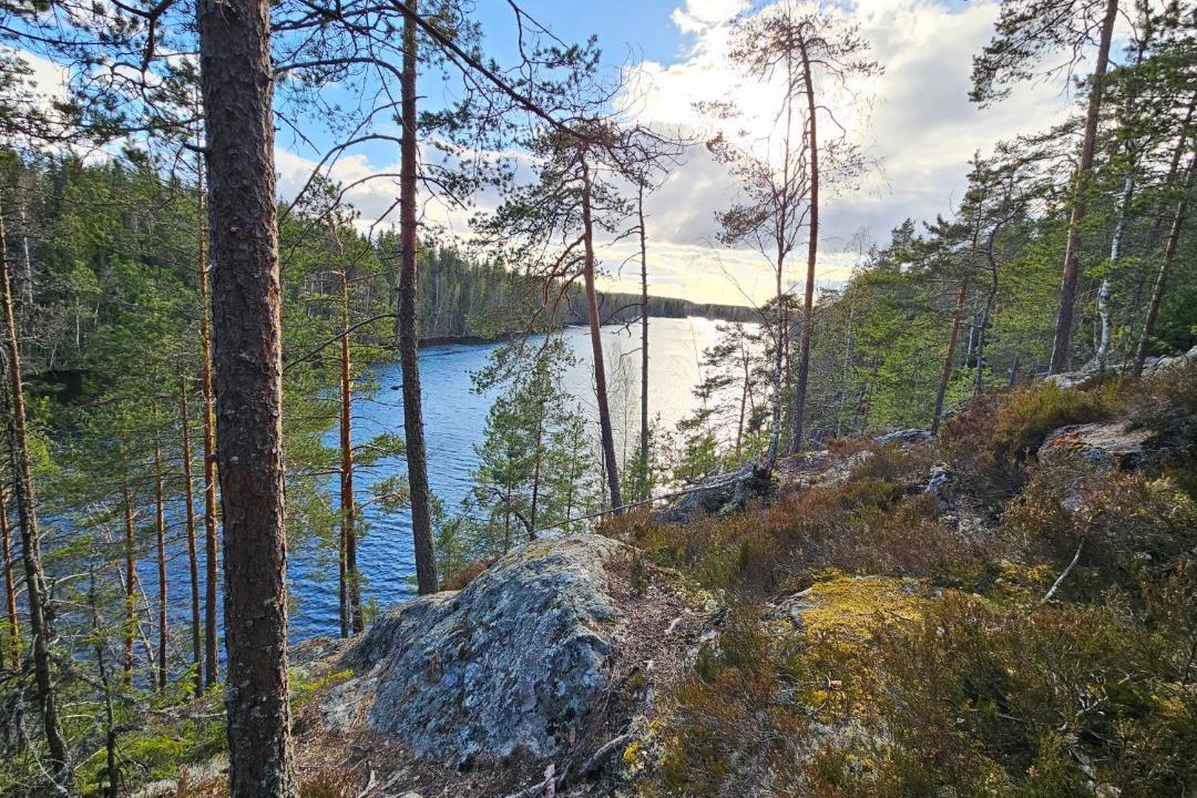 Photo of Others in Tampere