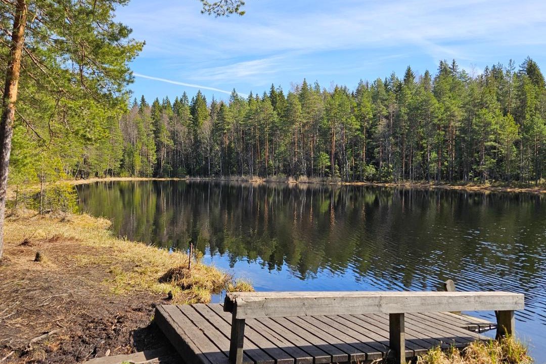 Photo of Others in Tampere
