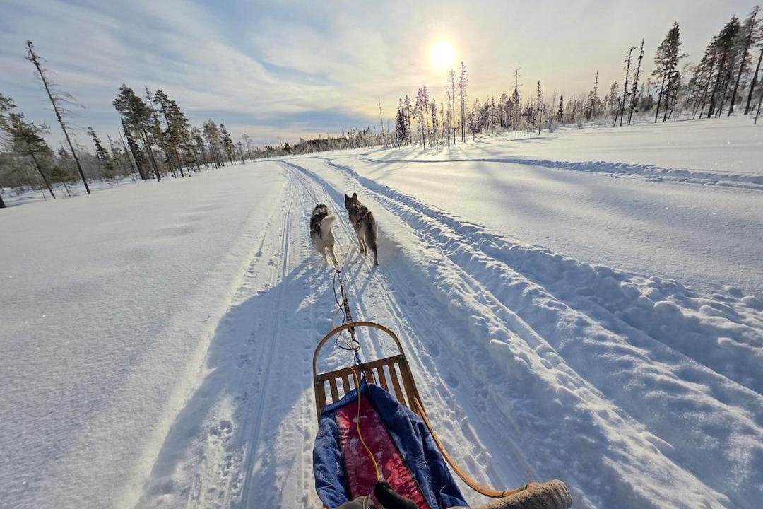 Photo of Others in Blattnicksele