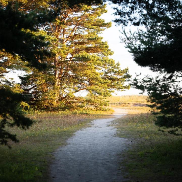 Photo of Others in Katthammarsvik