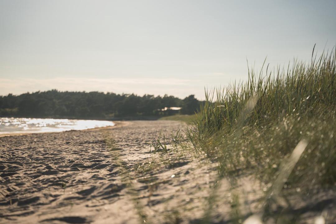 Photo of Others in Katthammarsvik