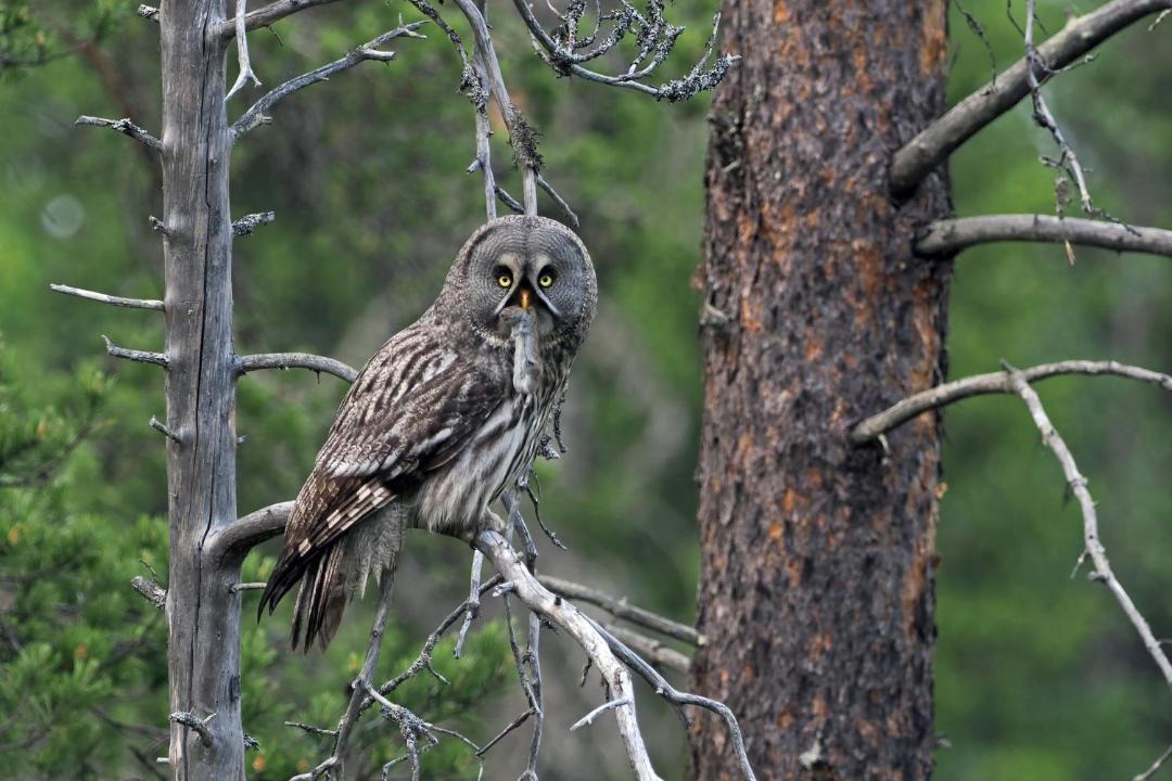 Photo of Others in Ljordal