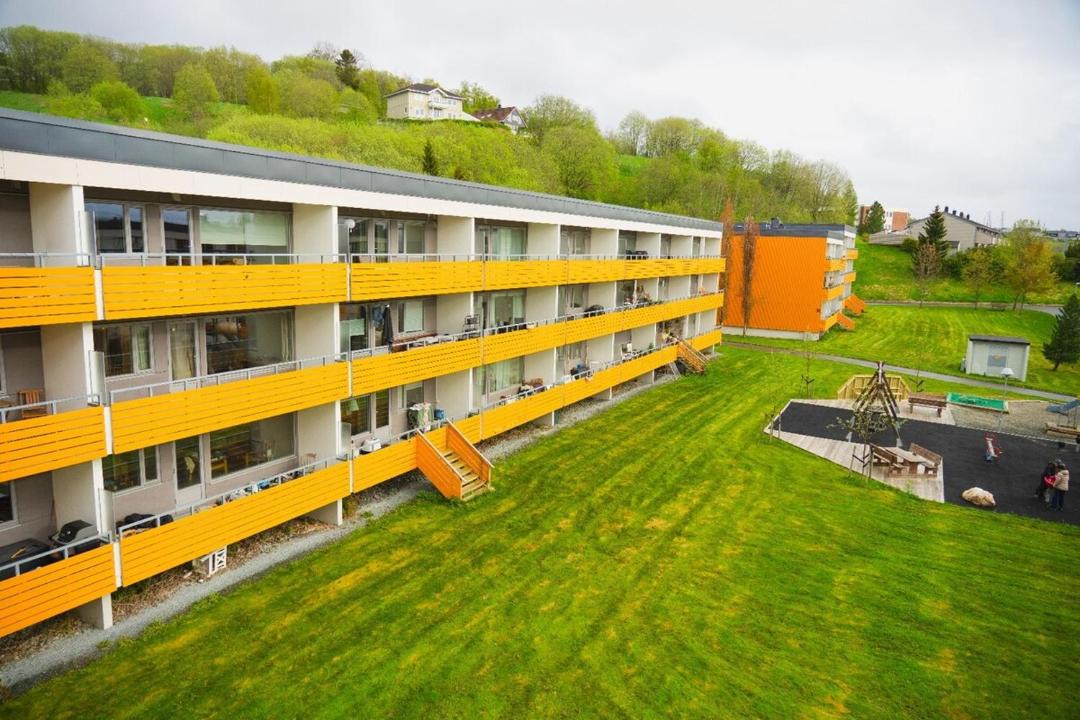 Photo of Others in Trondheim