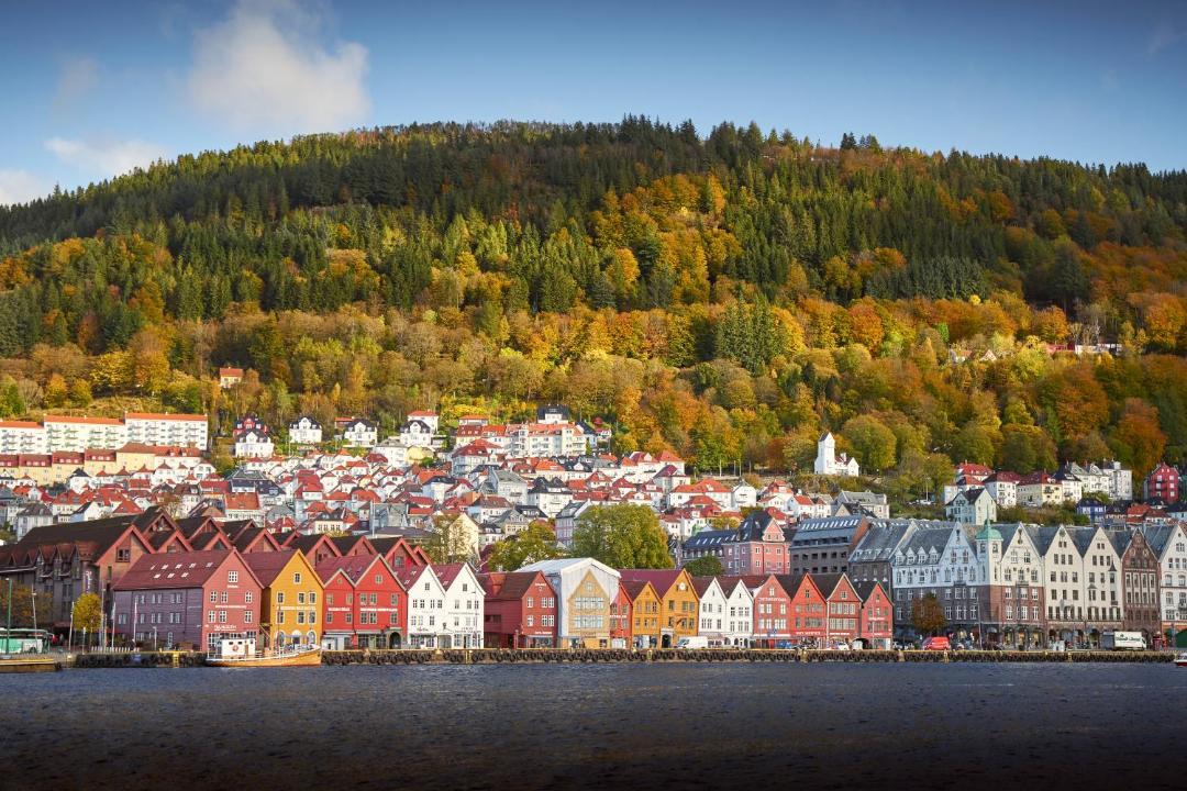 Photo of Others in Bergen City Centre
