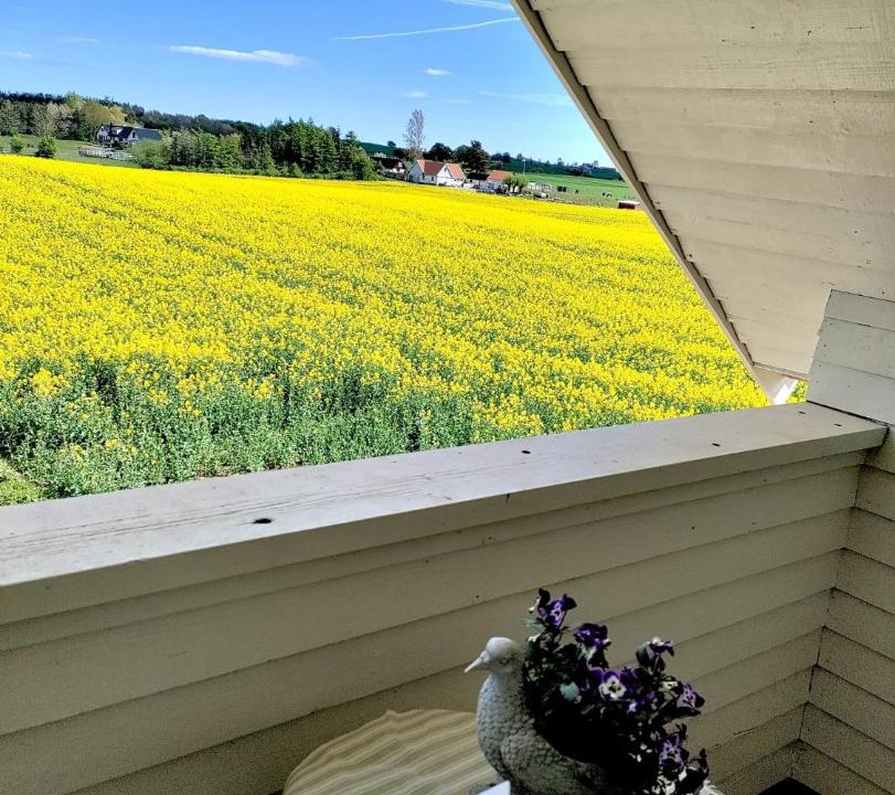 Photo of Others in Ystad