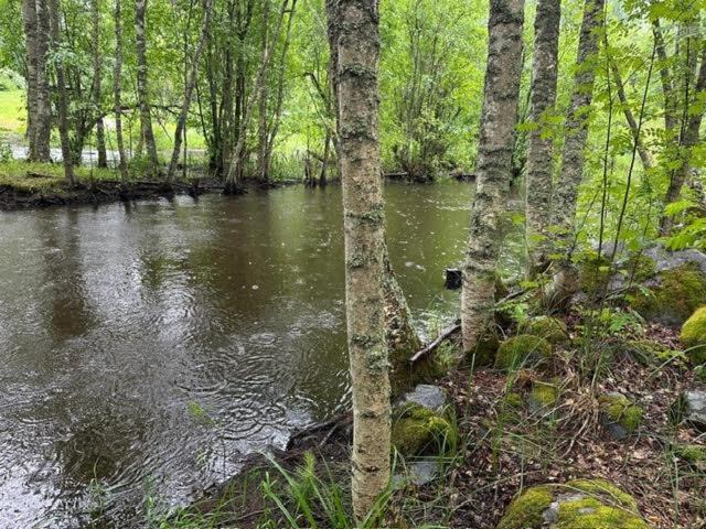 Photo of Others in Joensuu