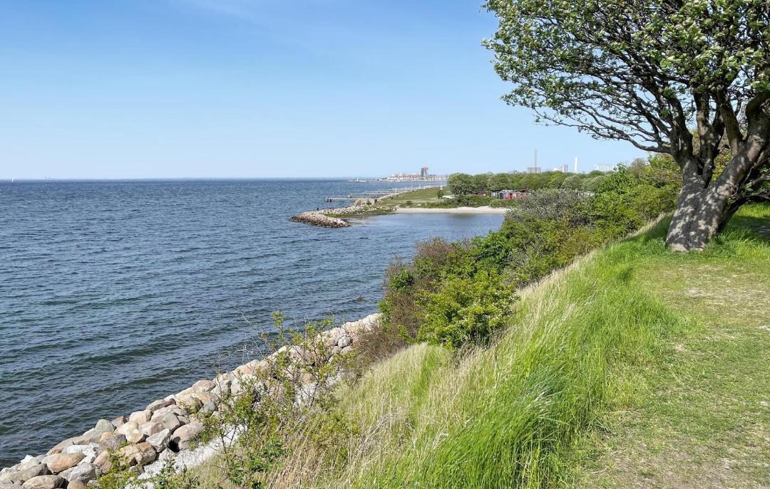 Photo of Others in Limhamn