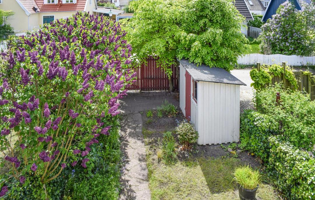 Photo of Others in Limhamn
