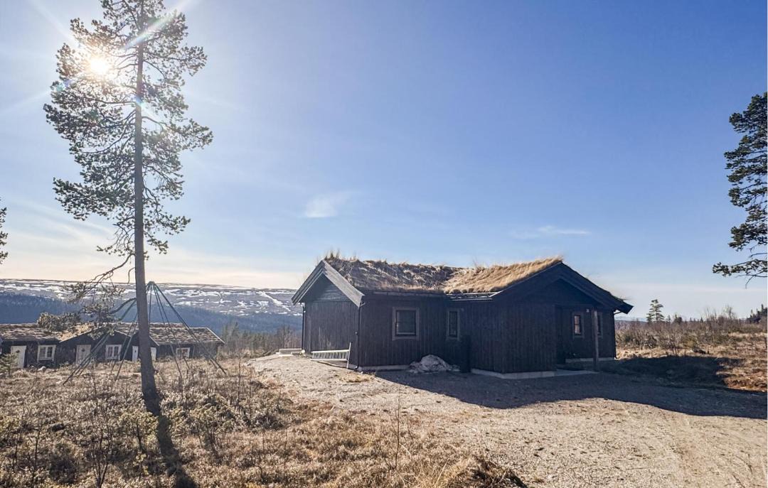 Photo of Others in Engerdal