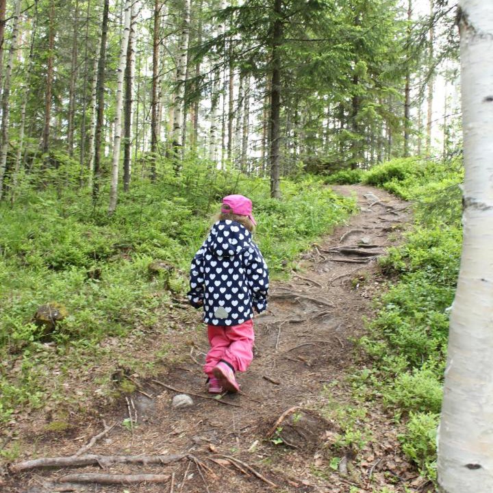 Photo of Others in Koli National Park
