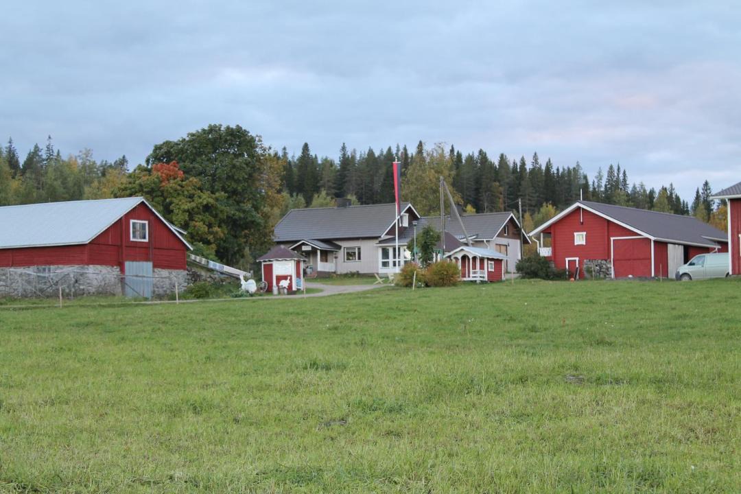 Photo of Others in Koli National Park