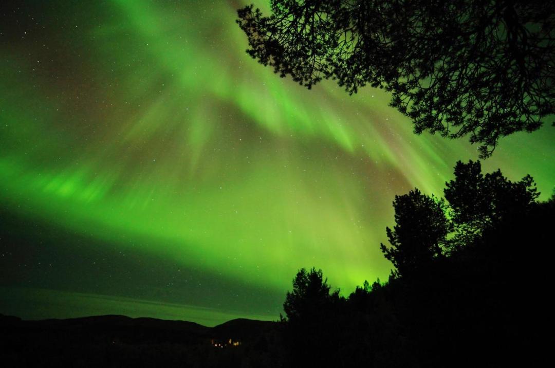 Photo of Others in Porsanger