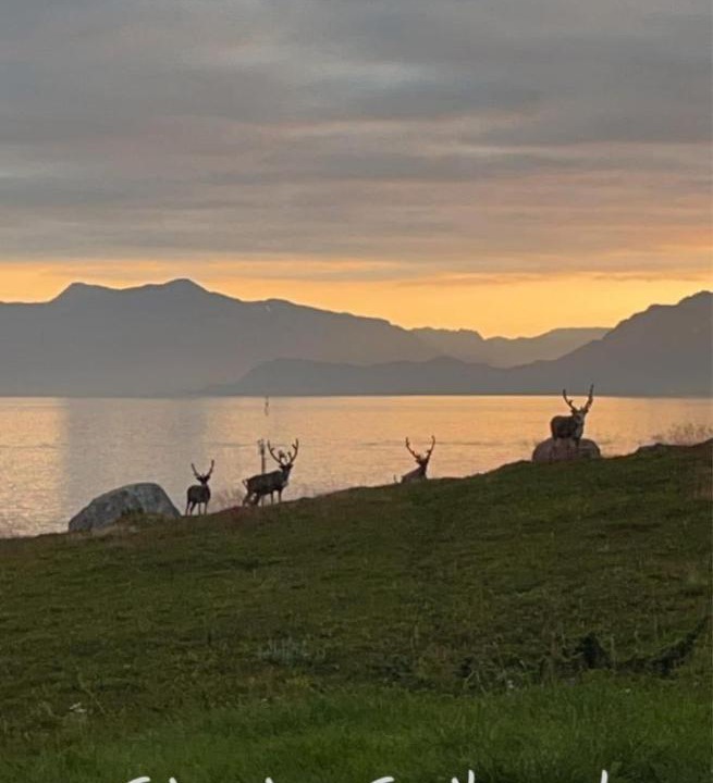 Photo of Others in Hammerfest