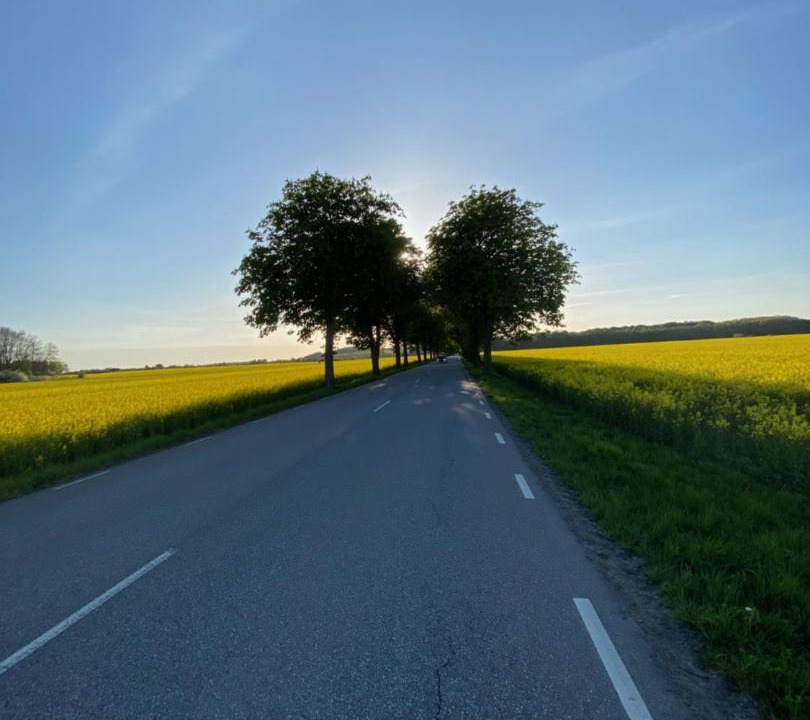Photo of Others in Ystad