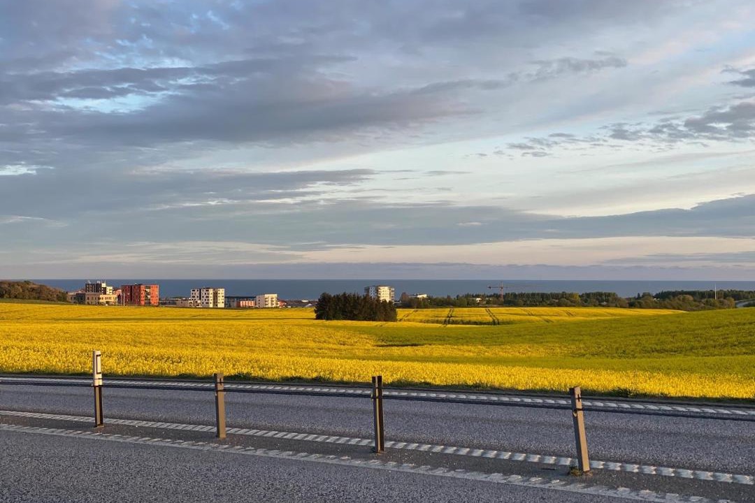 Photo of Others in Ystad