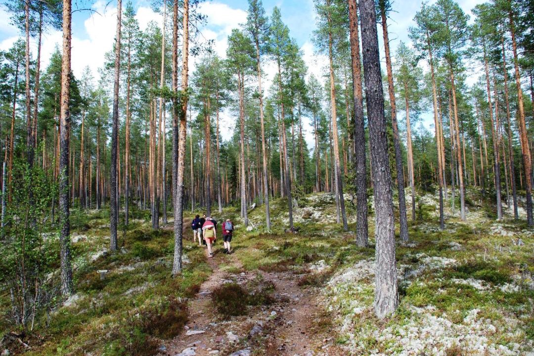 Photo of Others in Ljordal