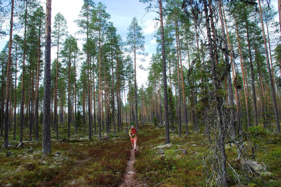 Photo of Others in Ljordal