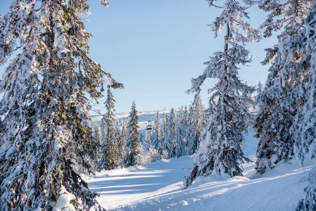 Photo of Others in Stoten
