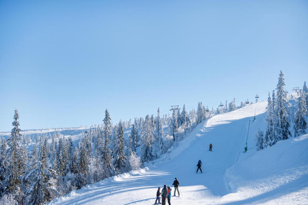 Photo of Others in Stoten