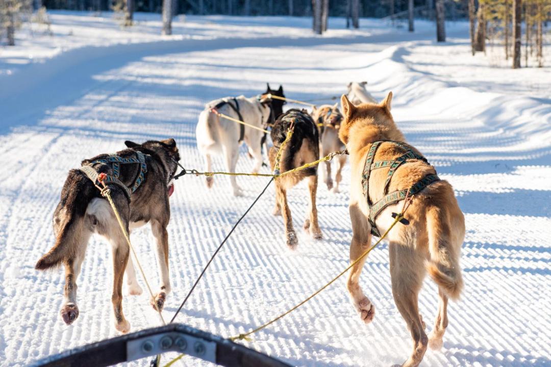 Photo of Others in Stoten
