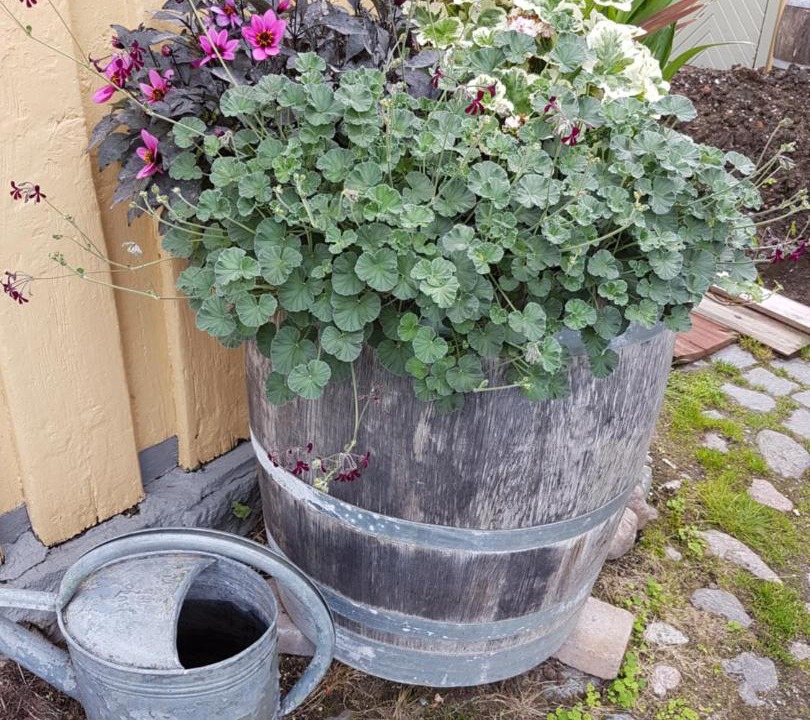 Photo of Outdoor in Soderkoping