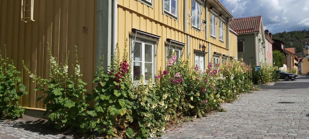 Photo of Others in Soderkoping