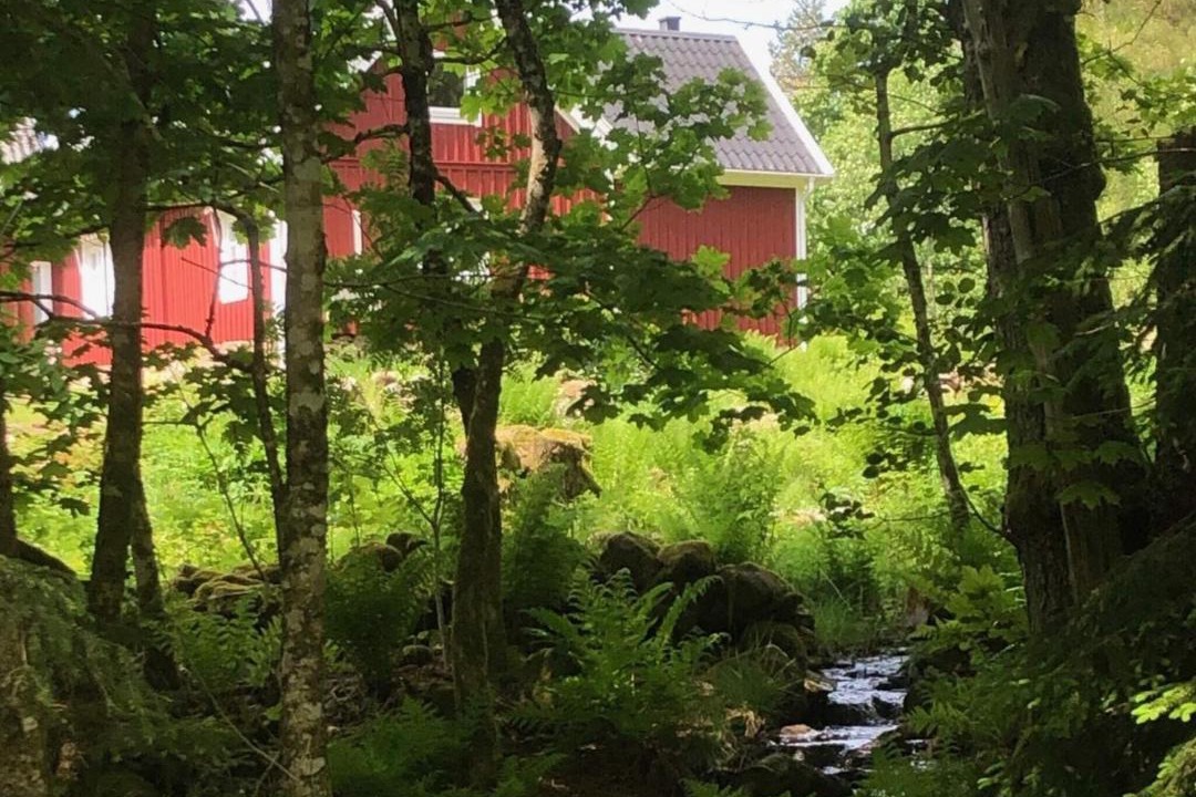 Photo of Others in Ullared