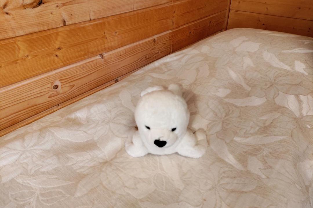 Photo of Others in Koli National Park