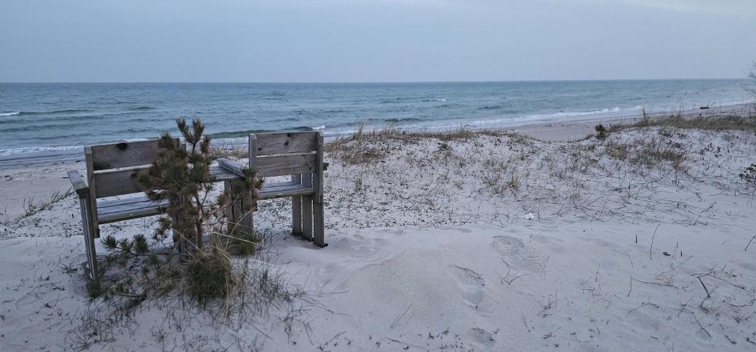 Photo of Others in Beddingestrand